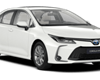 /slike/rapex_slike_arhiva/g2024/m12/Corolla SD.png